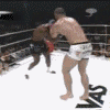 Kid Dynamite's Avatar