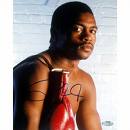 The Cuban Hawk's Avatar